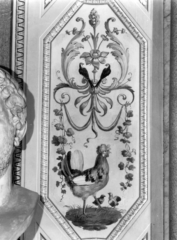 Gallina, pulcini e uccelli - Villa Borghese Pinciana, Roma